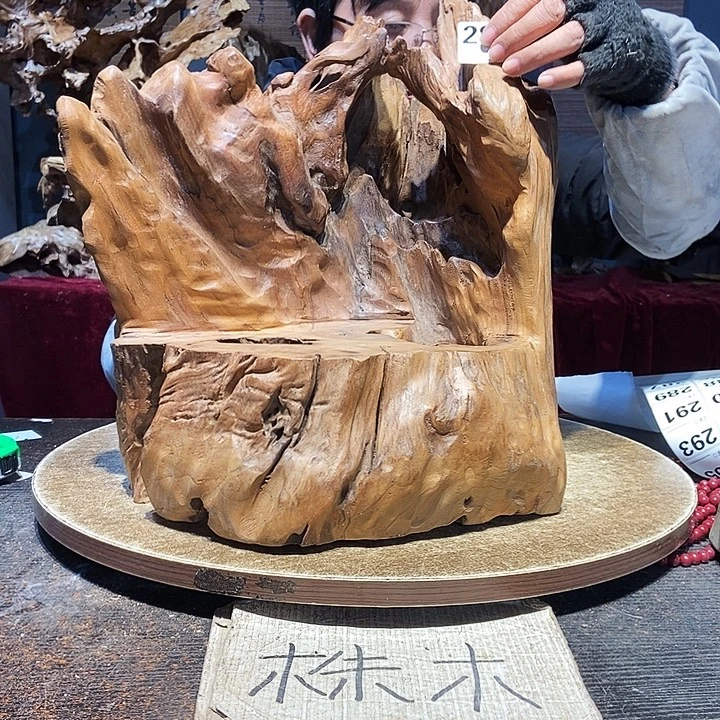 豹***9285。株木随行根艺