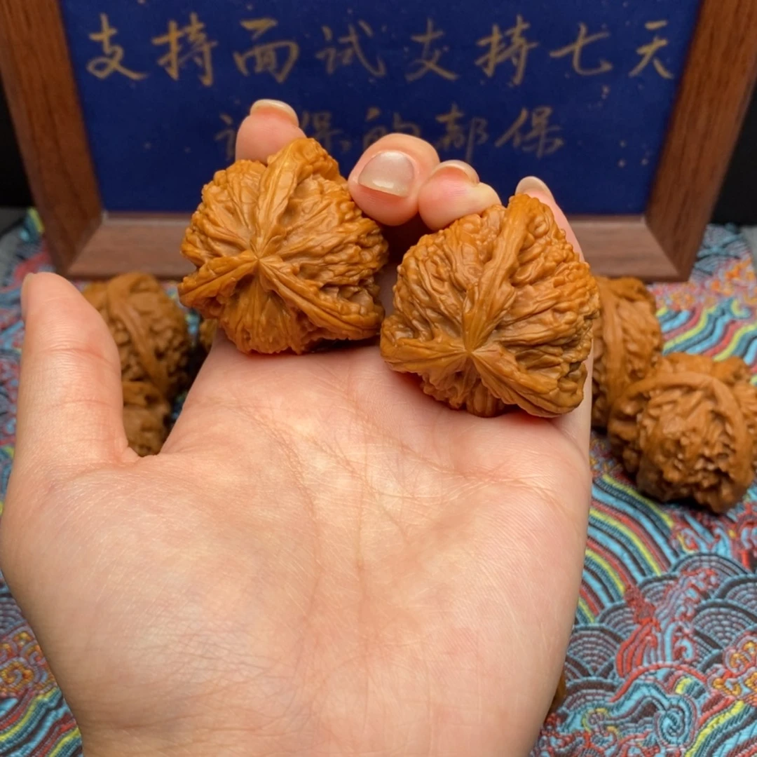 【闪购商品】或**晚白狮