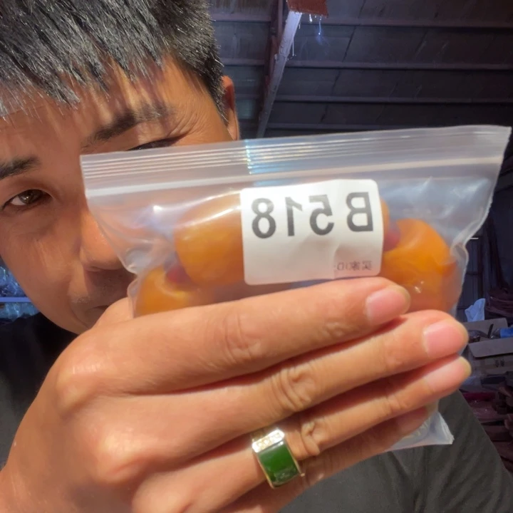 大叶紫檀（黑酸枝木类）518