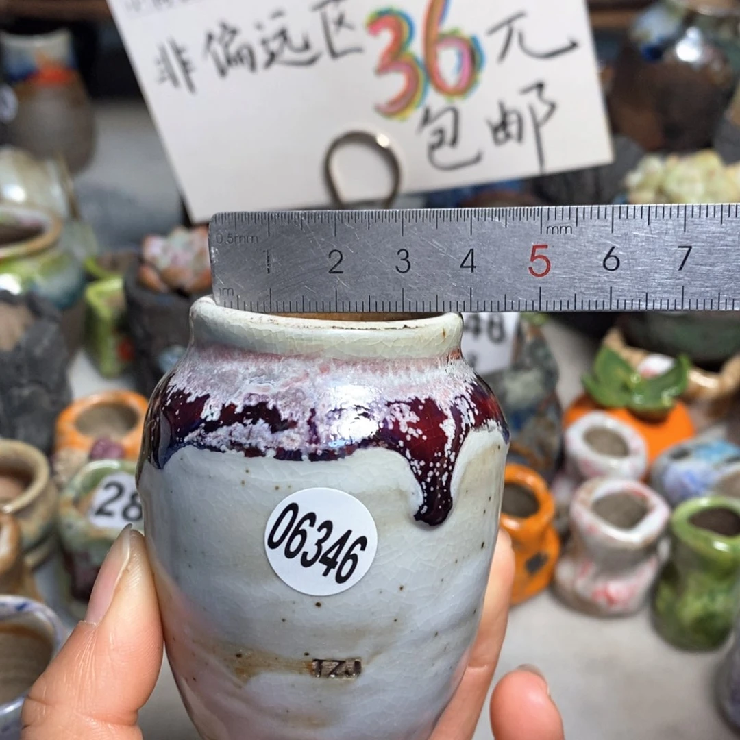 拍5送一个小礼物花盆