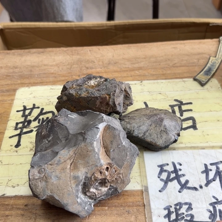 恩***铄谢谢谢谢谢谢谢西