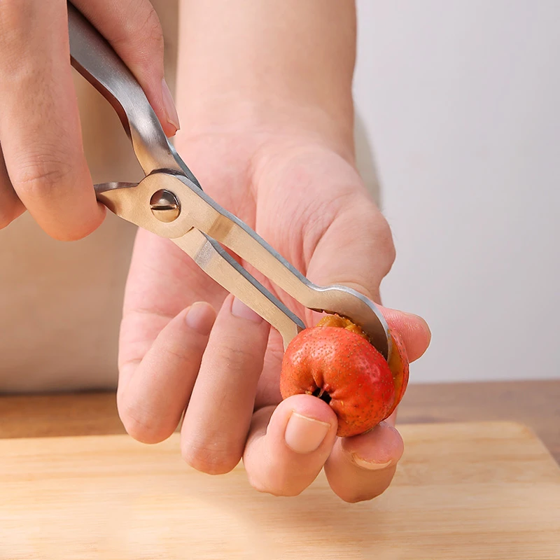 冰糖葫芦去核专用刀304不锈钢去山楂核神器家用水果沙果去芯工具