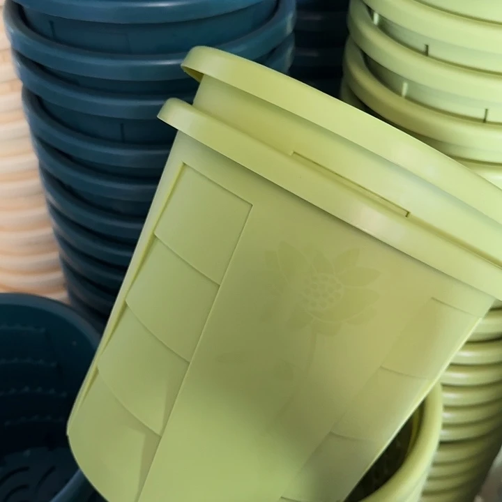 编号701果绿无托5个