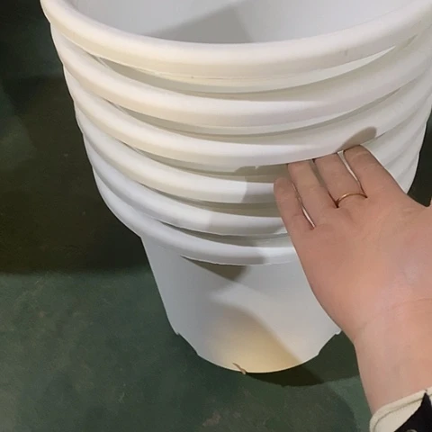 树脂四季6号3个无托白