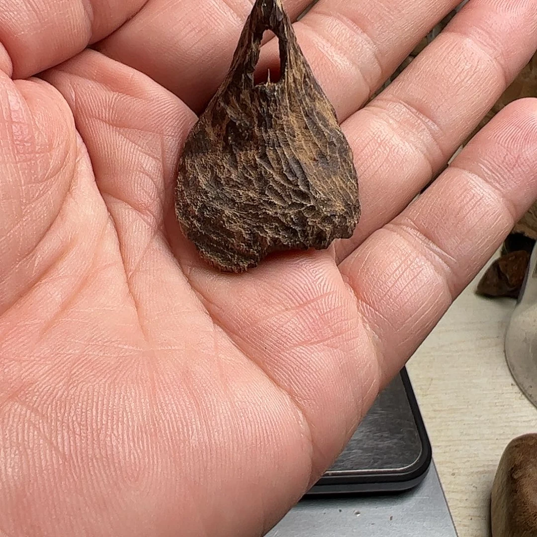 沉香碎屑沉香马泥涝沉水料3.3克