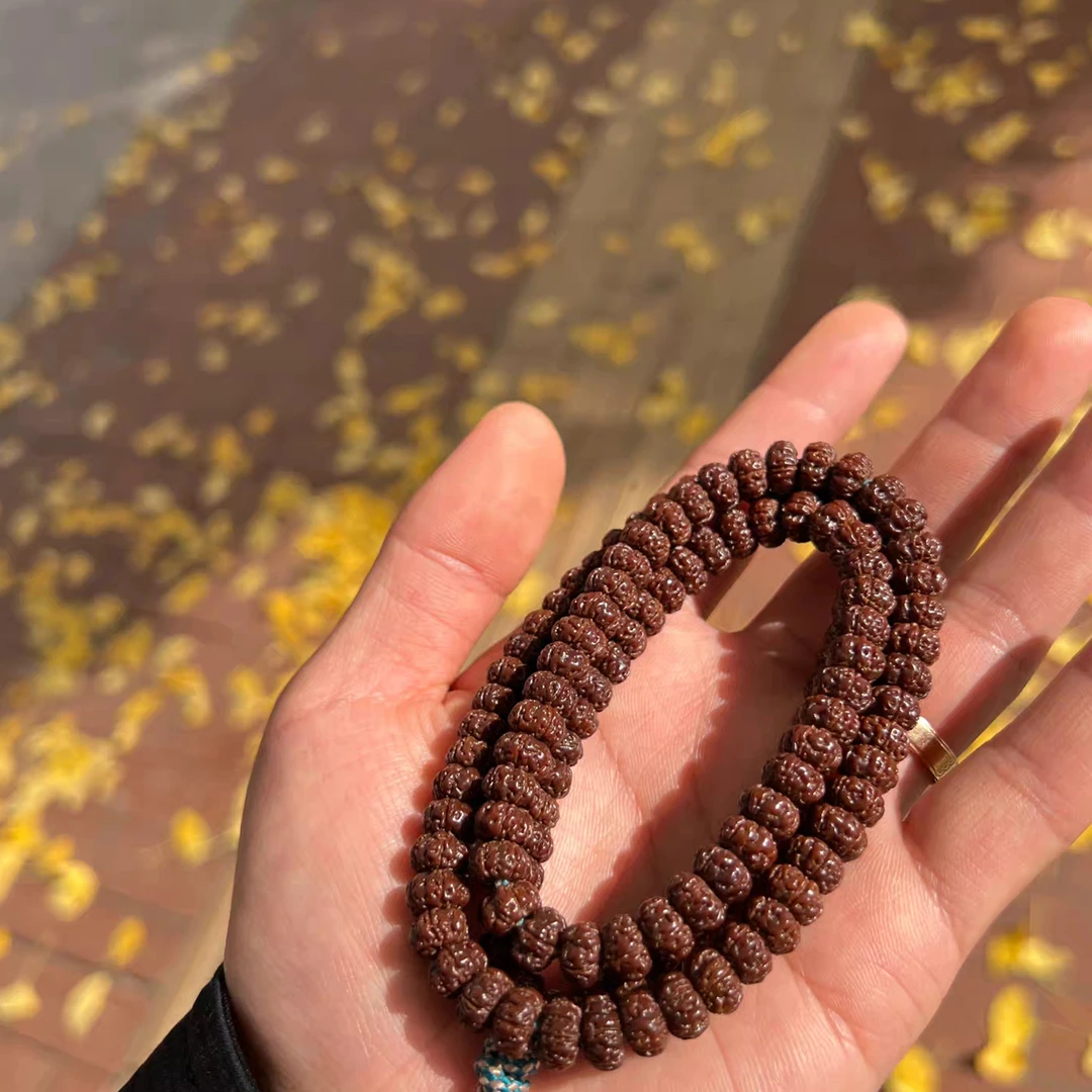 小金刚截图专用[非指定勿拍]