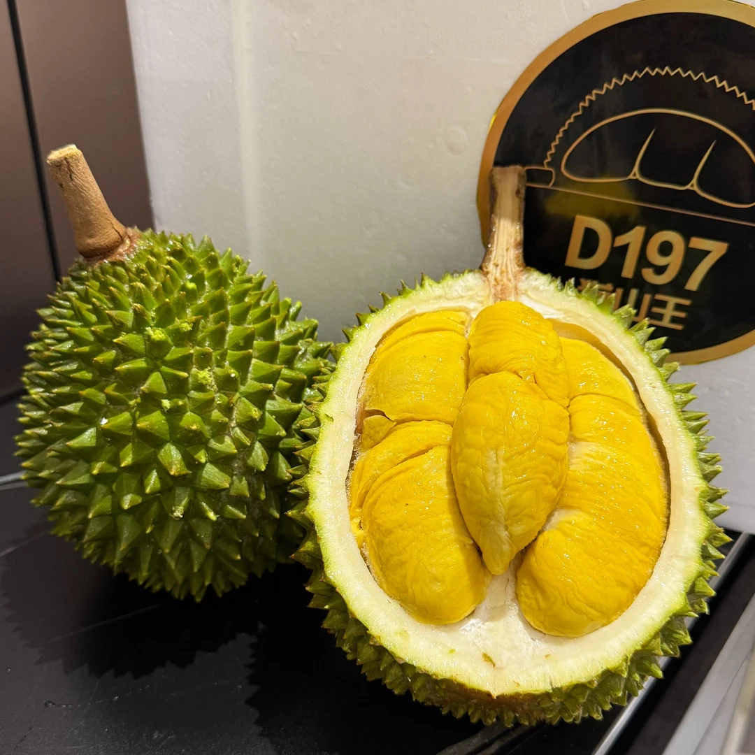 森叔源选 当季限定巴掌猫山王D197液氮榴莲约6-7斤/份【顺丰包邮】
