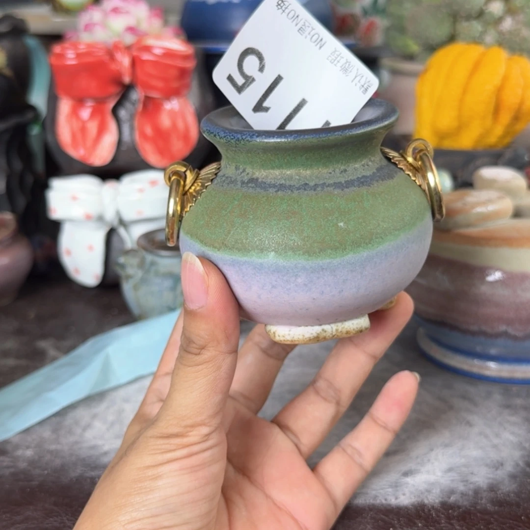 重庆小燕子欢迎大家115
