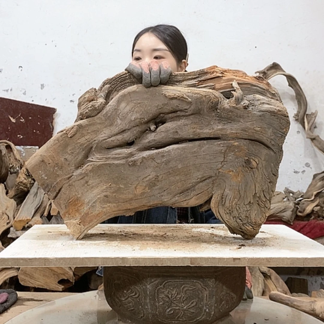 【闪购商品】柏木锦*阁我们都是好孩子