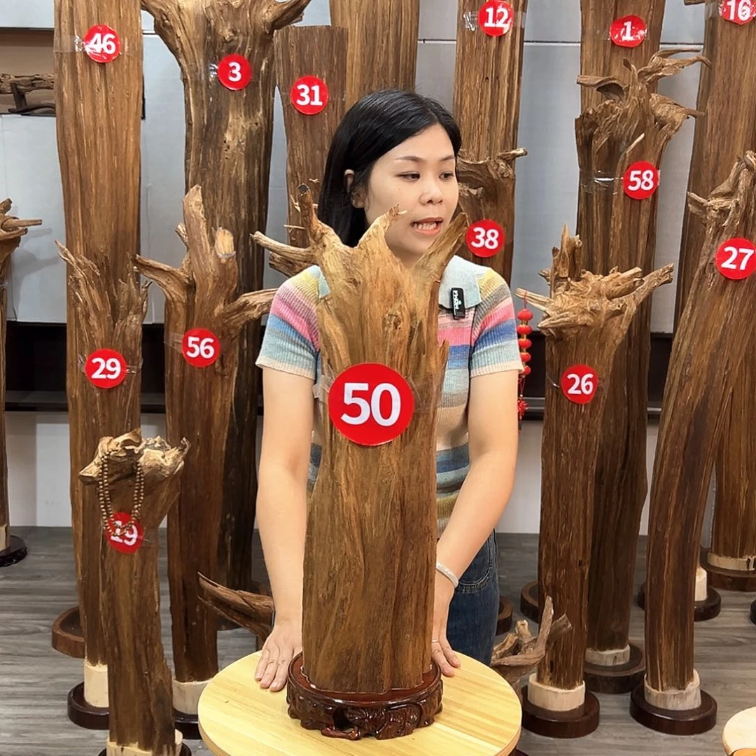 沉香沉香碎屑沉香