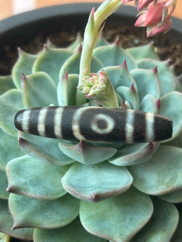 吊坠925银 西藏二眼马蹄纹珠复古民族风时尚