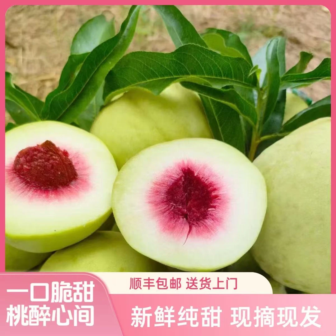 【中华脆蜜桃】现摘现发中华脆蜜桃新鲜应季水果脆甜可口顺丰包邮