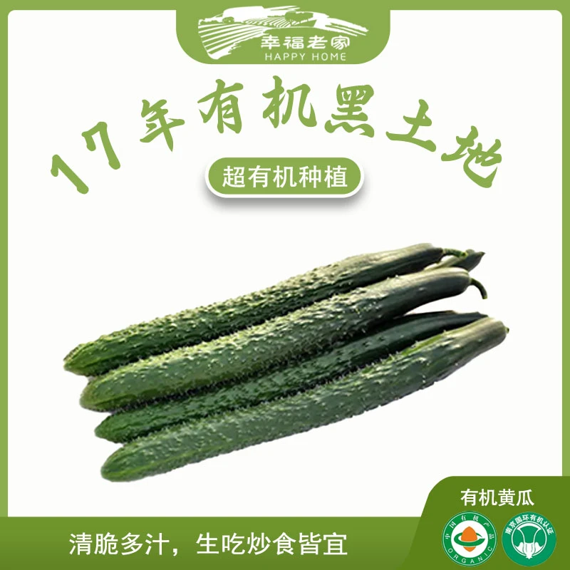 幸福老家有机刺黄瓜1斤爽脆可口安全营养健康新鲜采摘农场直发