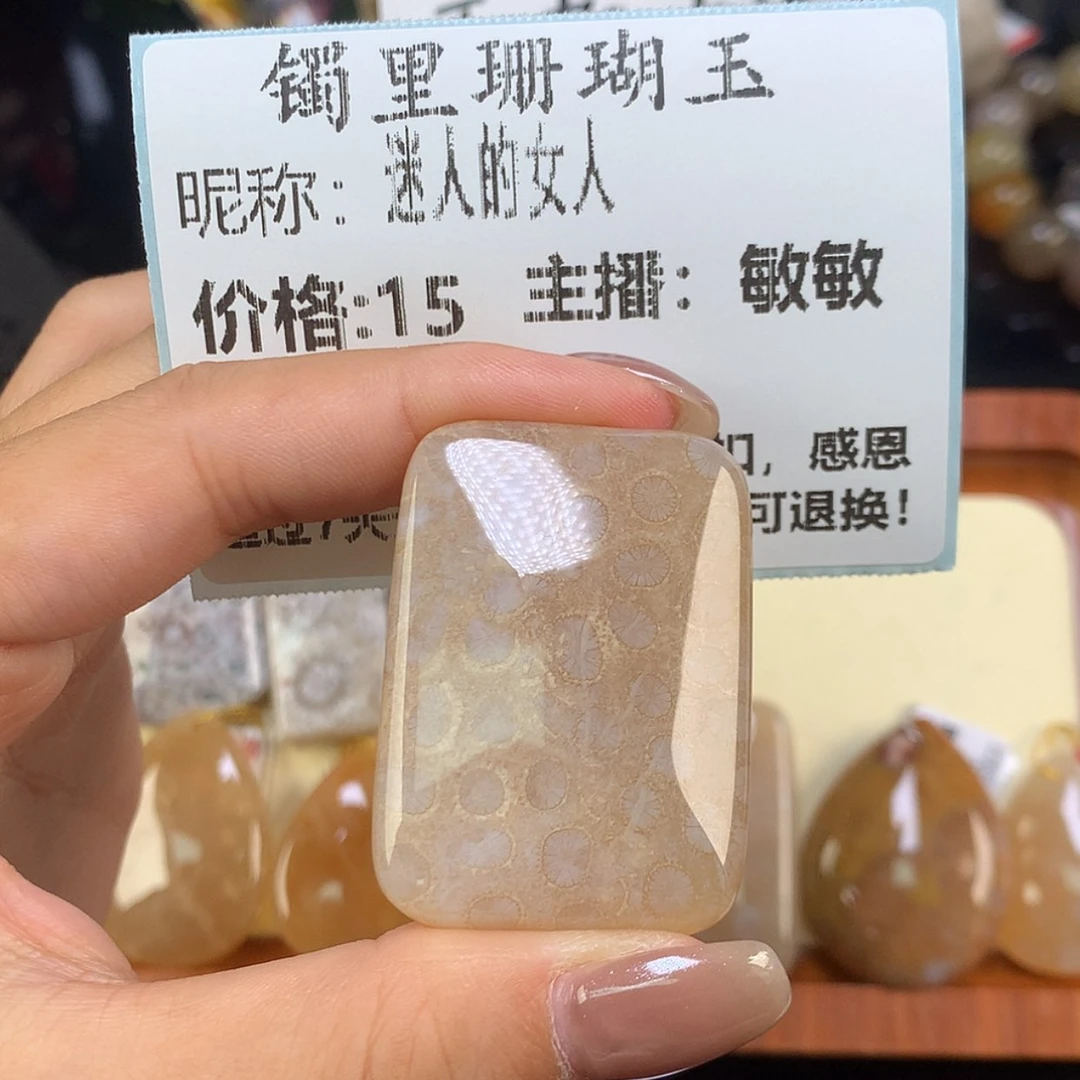 【闪购商品】颈饰未镶嵌硅化珊瑚（珊瑚玉）迷***人