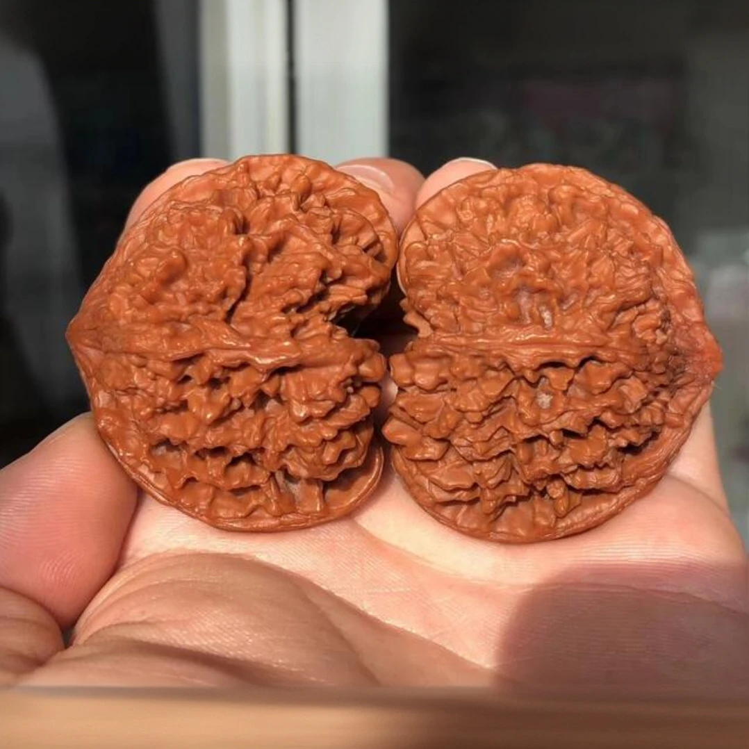 健核文核农拥有自己的核桃园自产自销