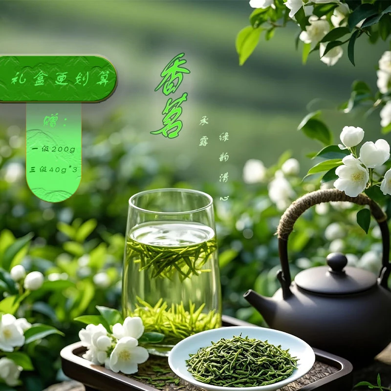 [香茗承露  绿韵清心]云南高山精品茶叶采摘阳光充足雨水充沛