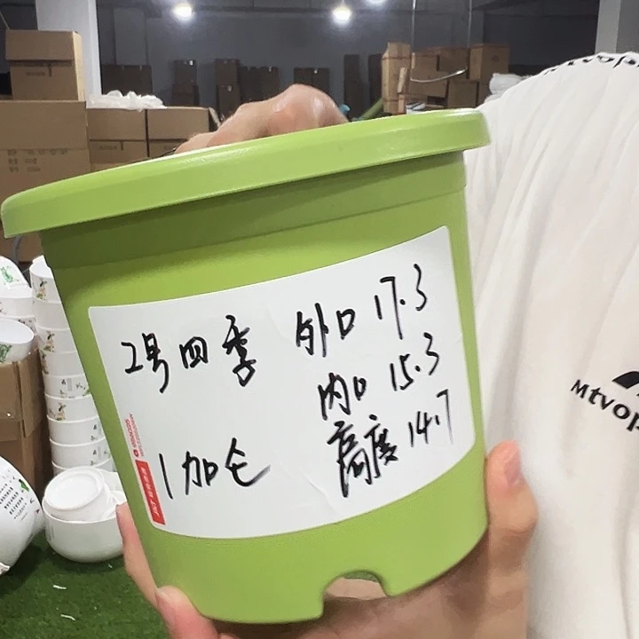 特价2号口17.3高14.7果绿无托10只