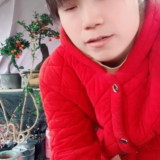 无花朵金弹子福。