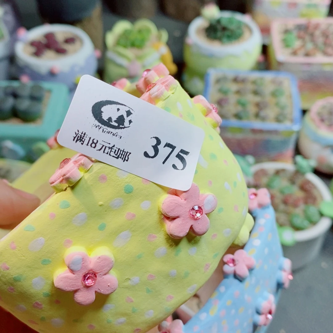 P***0生石花花花花花花375