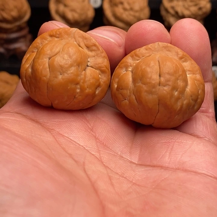 把件文玩核桃10金刚鹦鹉