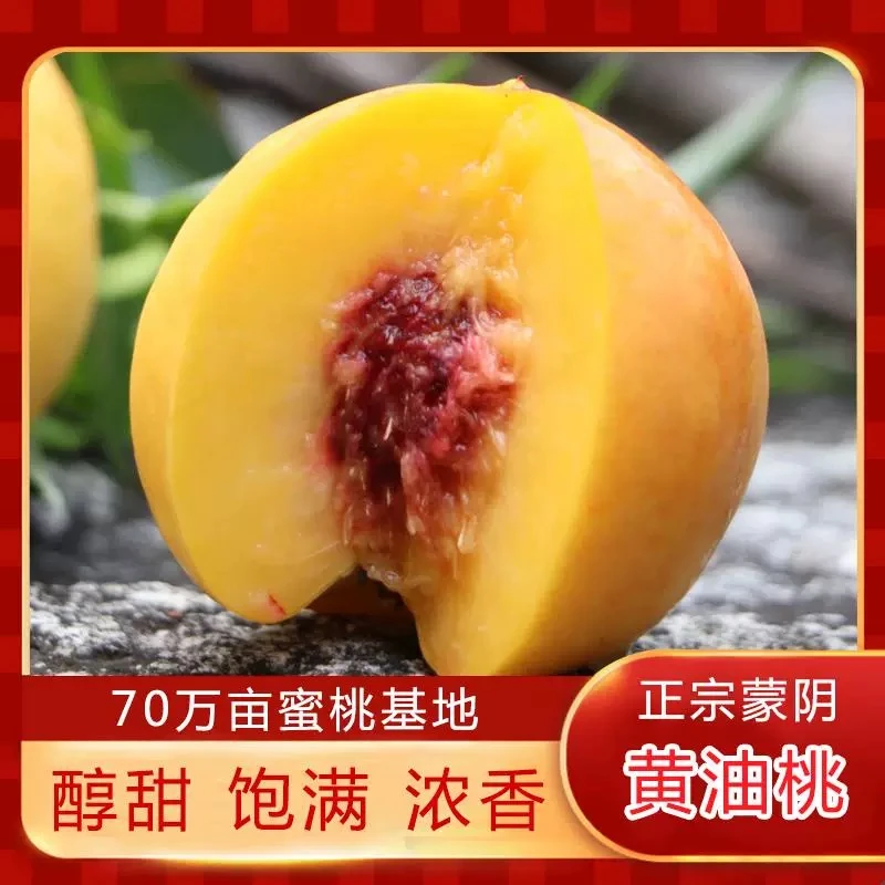 山东蒙阴黄油桃当季甜大桃子孕妇蜜脆桃新鲜水果现摘现发