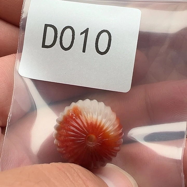 手串菩提根/象牙果