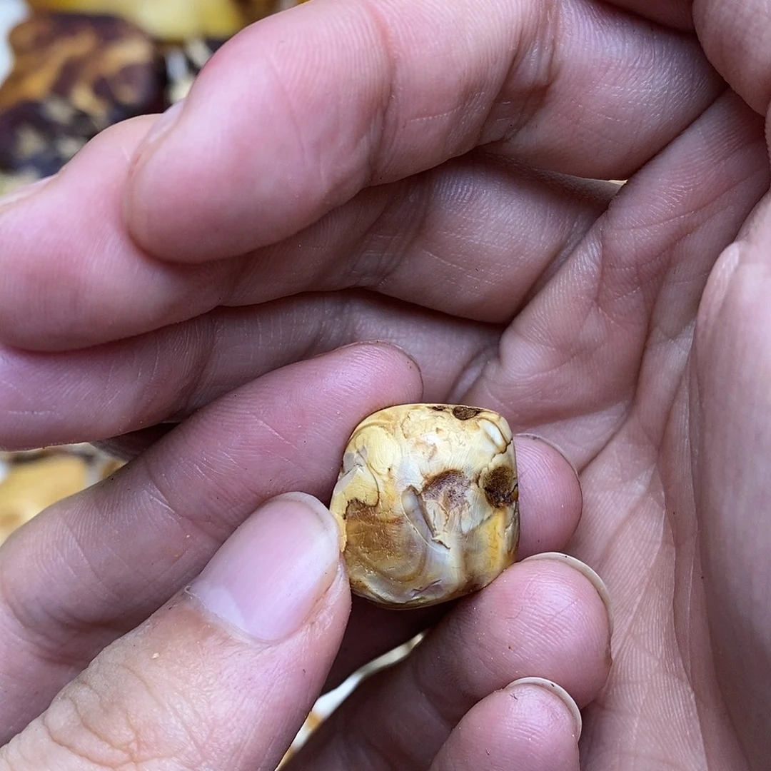 定制蜜蜡未镶嵌翅*原石