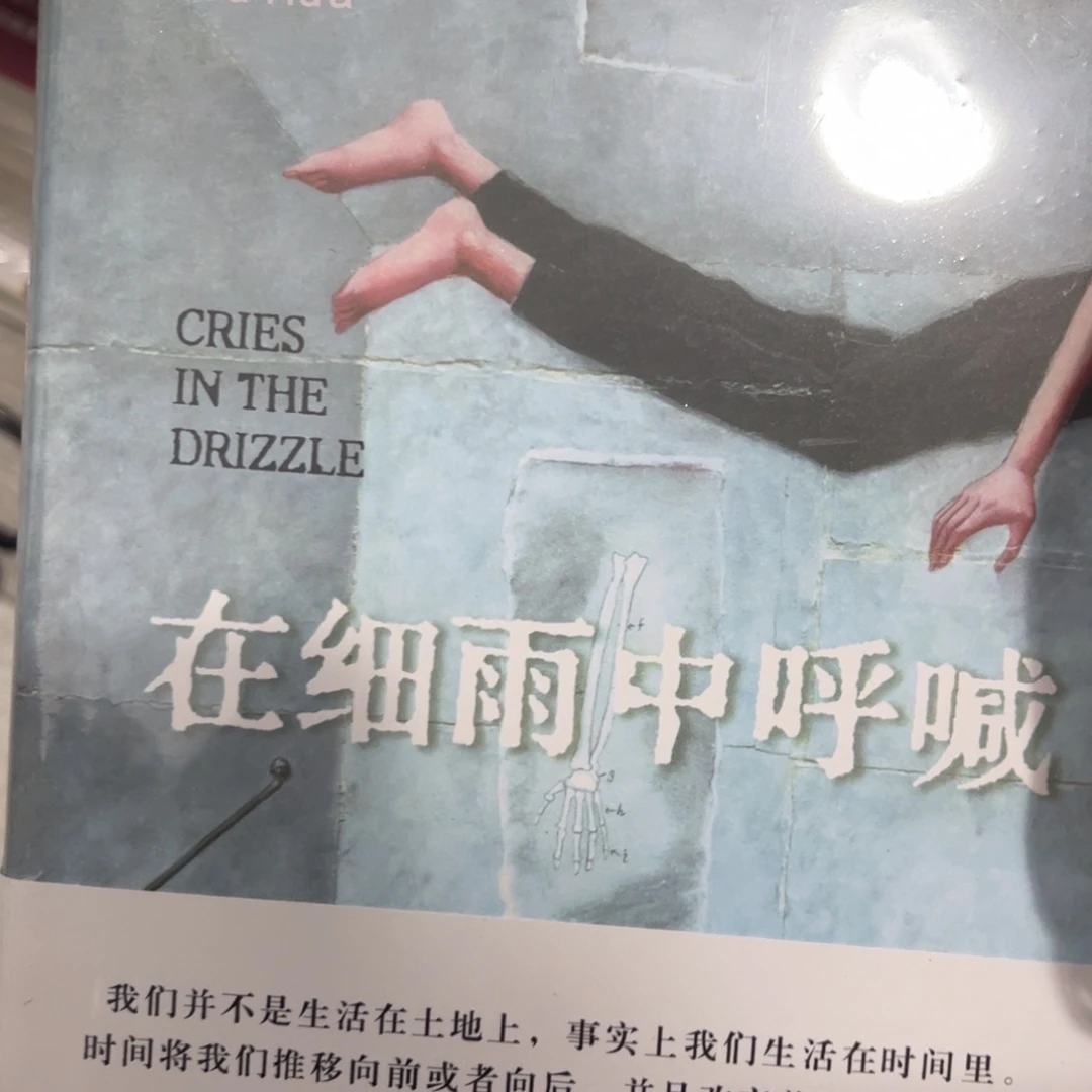 在细雨中呼喊精装一个
