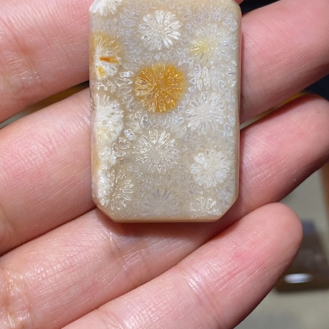 【闪购商品】硅化玉颈饰未镶嵌