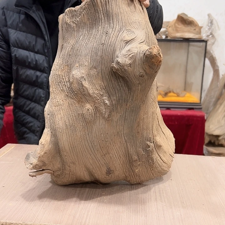 柏木丶***雅我们都是好孩子呀我也是