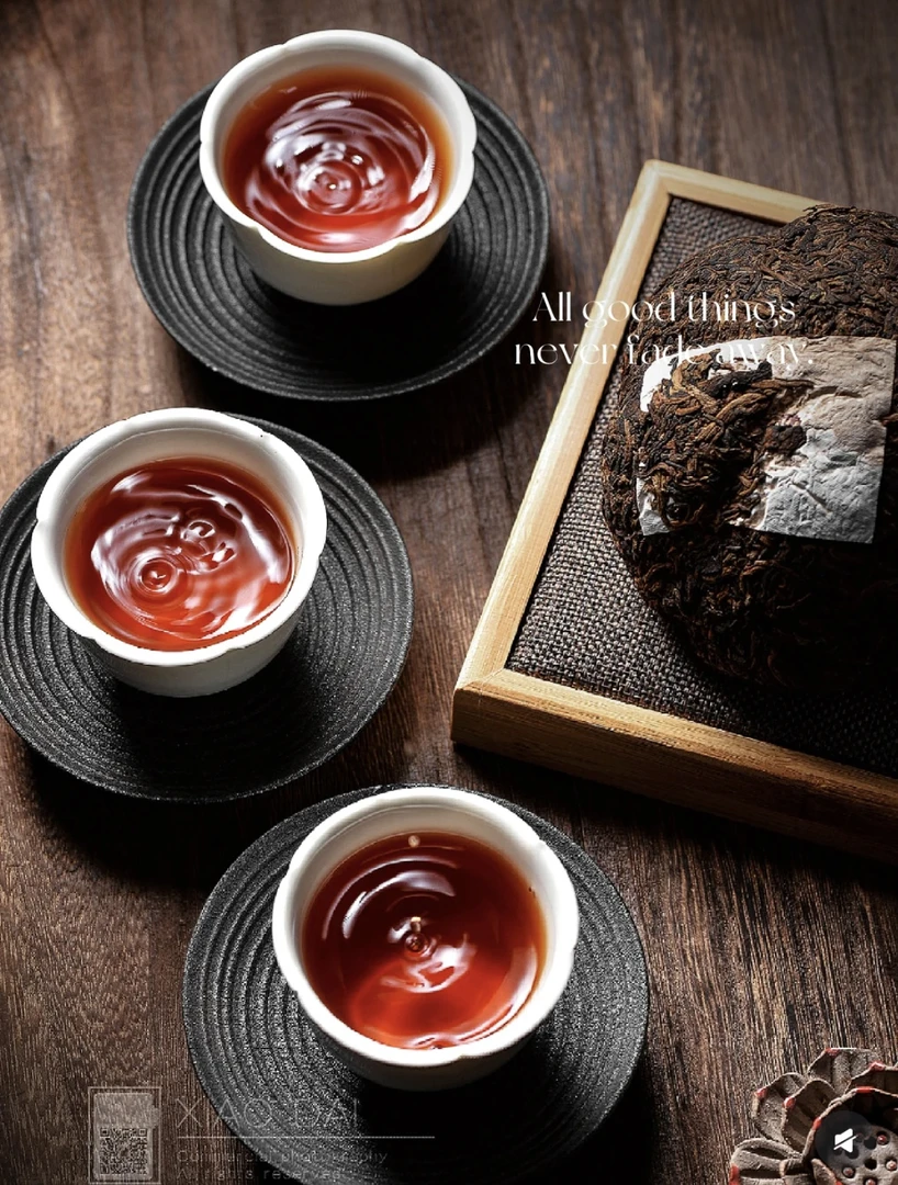 平盖泡茶壶  普洱