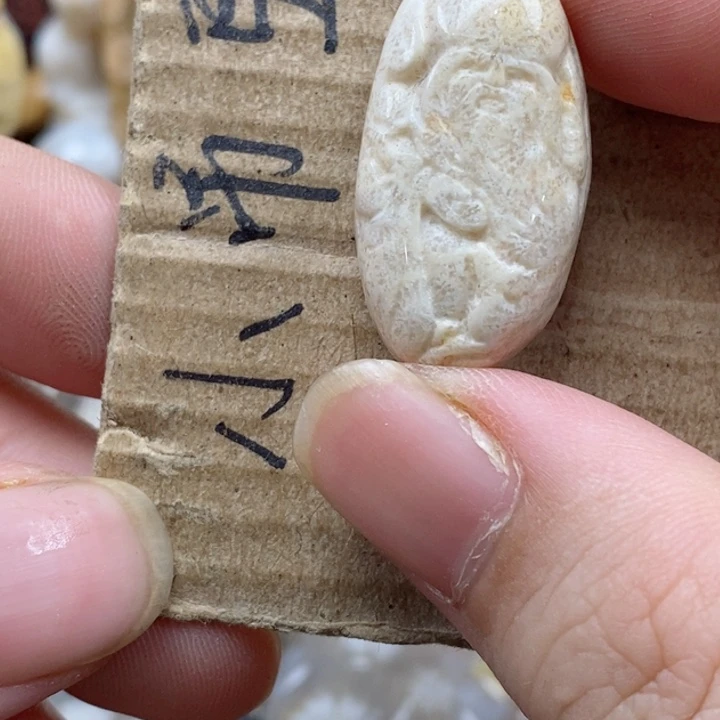 颈饰未镶嵌硅化珊瑚（珊瑚玉）A****)