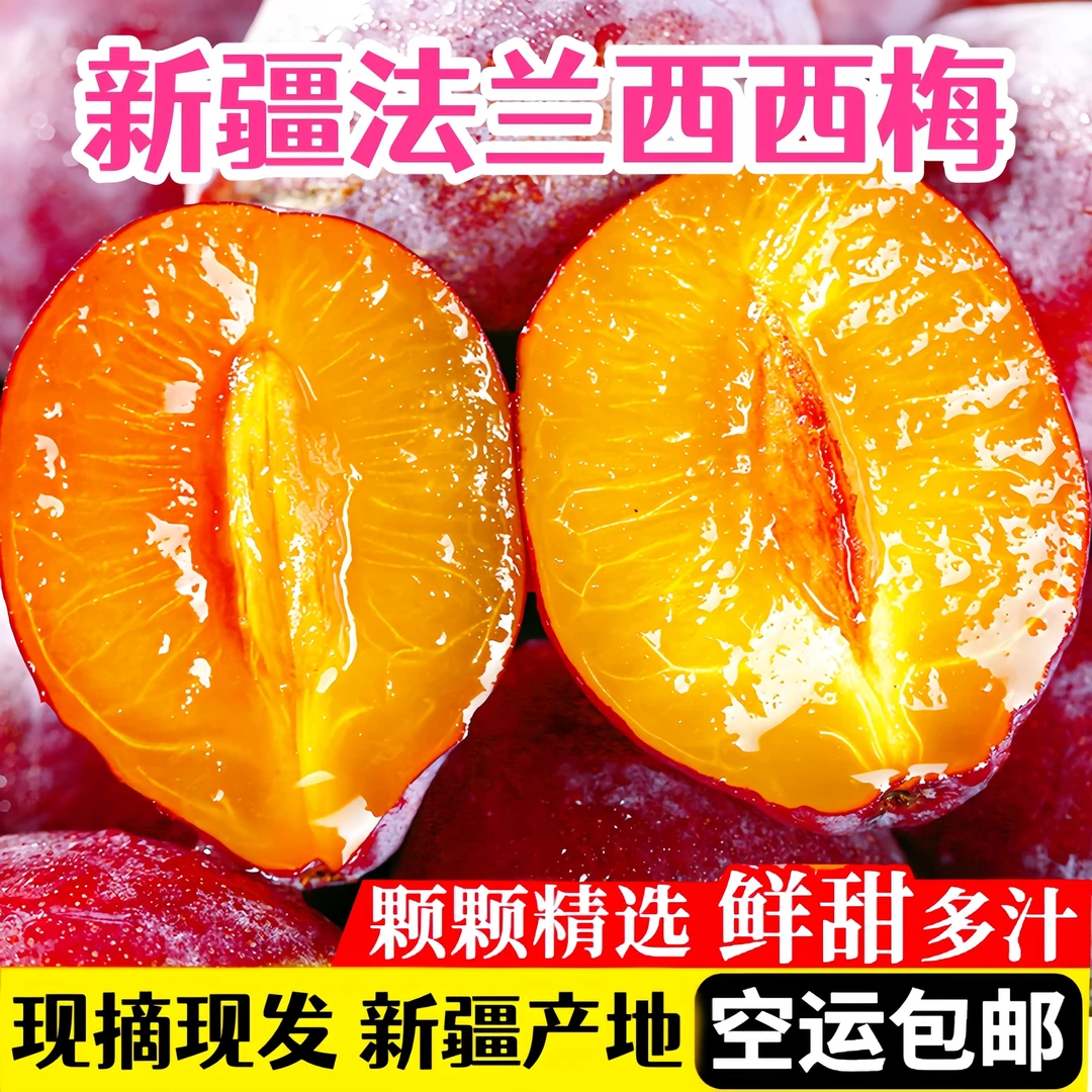【新疆直发】新疆法兰西西梅新鲜应季水果产地直发空运包邮