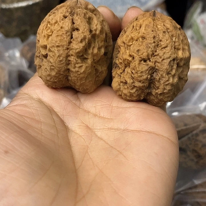 核桃云南铁核桃基地72