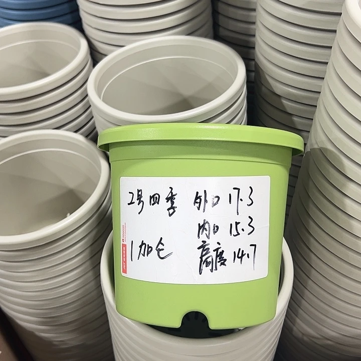 特价2号口17高14白色10只无托