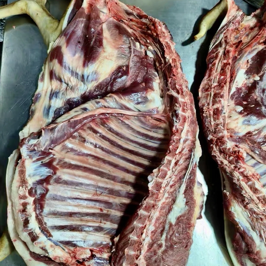 半只羊 一称一拍散养黑山羊