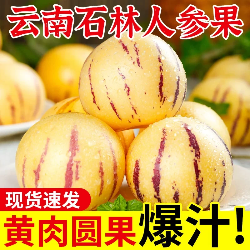 正宗云南石林人参果新鲜整箱包邮当季水果七彩果黄心肉圆果大果熟