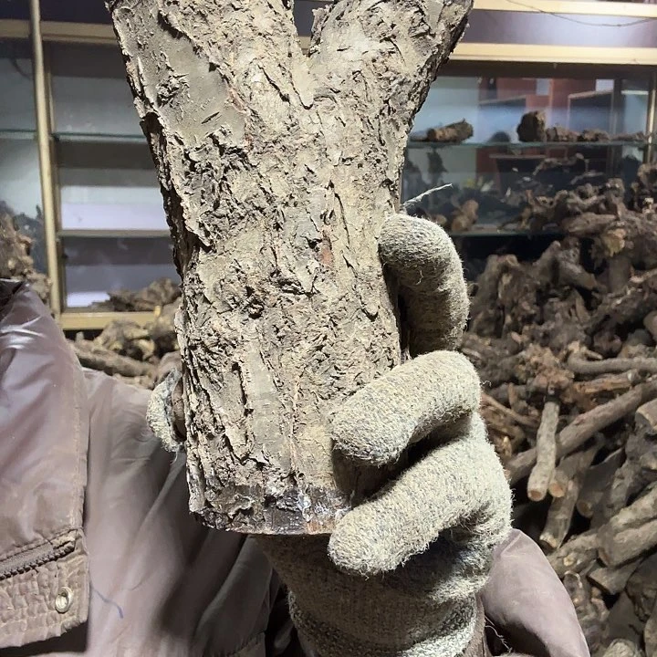 香榧木落**悔火琉璃的故事毛料摆件