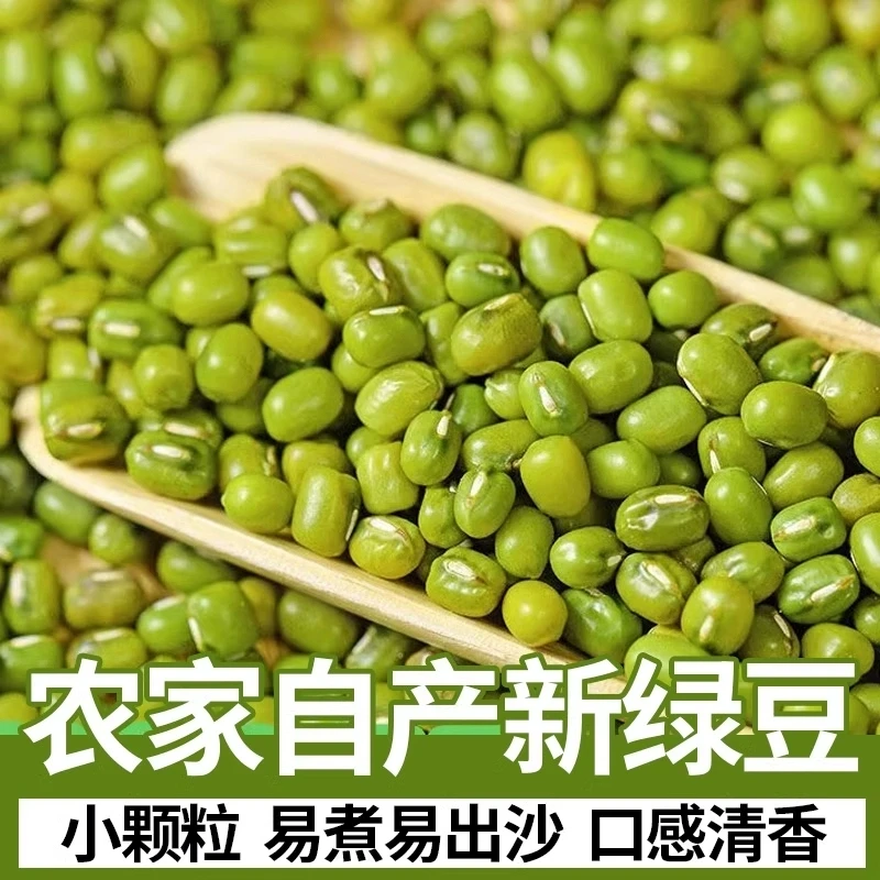 夏季皮薄小绿豆新鲜发芽豆绿豆粥绿豆糕绿豆汤消暑易煮绿豆糕原料