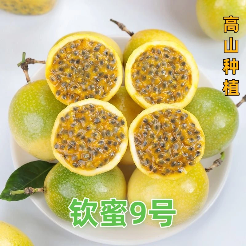 【顺丰直达】广西钦蜜9号高山种植新鲜采摘自家果园水果当季黄金果