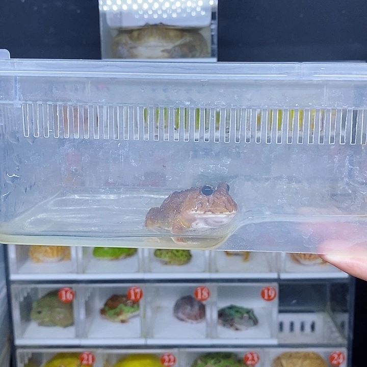 特价秒杀现货特价