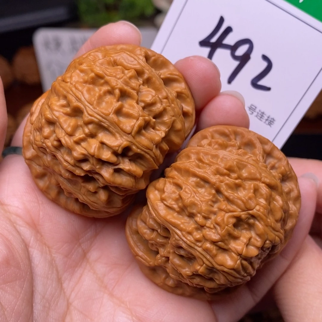 把件文玩核桃492闷尖白狮子头5.0