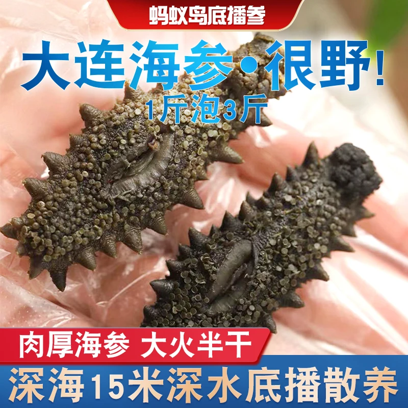 3斤大连辽刺参深海拉缸盐海参[25-30头左右]顺丰包邮