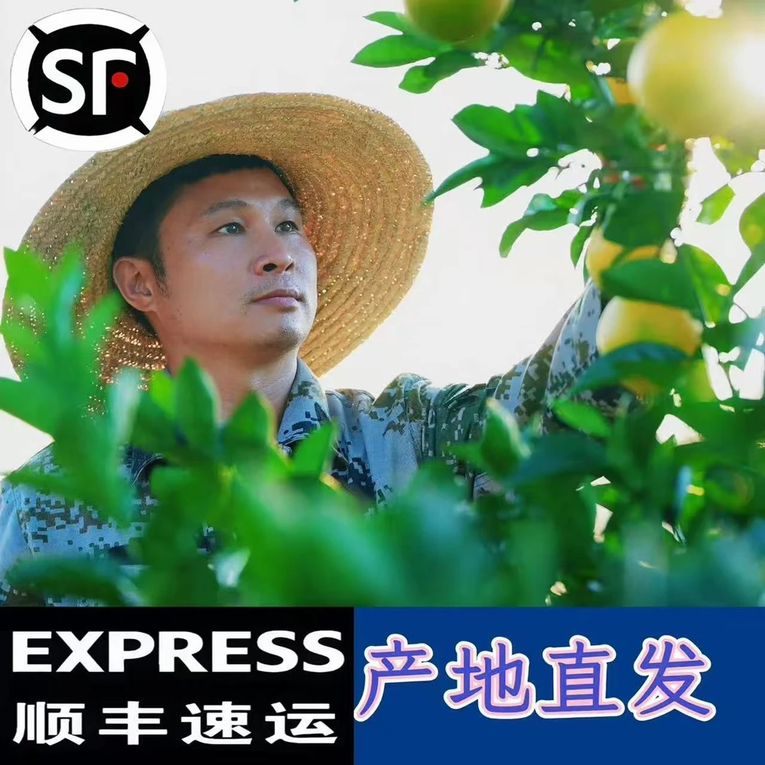 辉哥【顺丰包邮】地标农品赣南信丰高山原生态脐橙新鲜现摘香甜爆汁