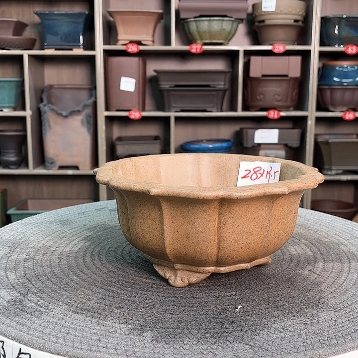 紫砂花盆小*子紫砂的味道很好