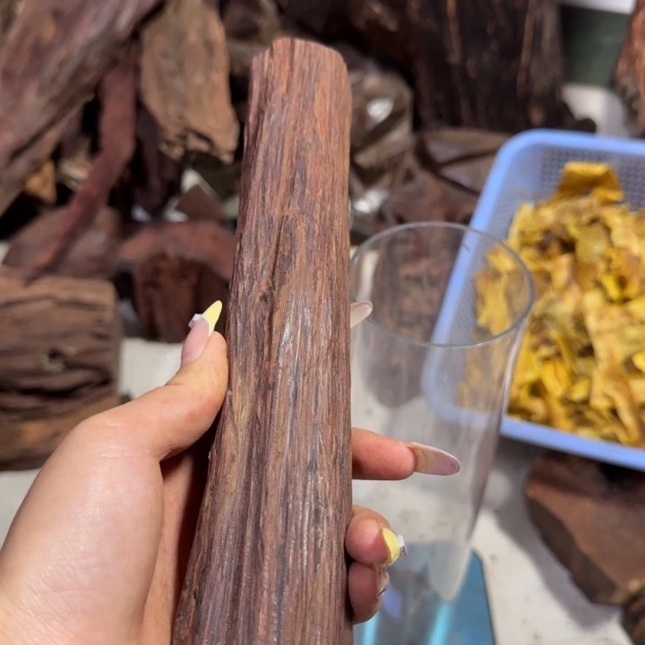 花梨木类孑*海南大叶