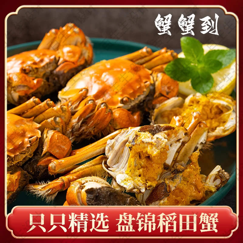 【活蟹】盘锦河蟹(1.3-1两)母蟹到手20-16只大蟹 鲜活到家