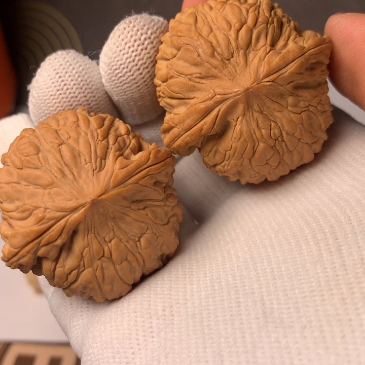 橘***丶泥鳅9个一级组各一