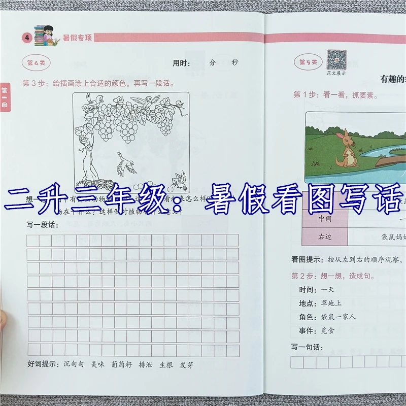 暑假看图写话二升三暑假专项训练二年级下册暑假看图写话每日一练