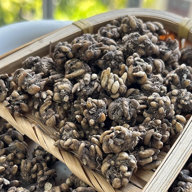 优质猫爪草今年新货 喵喵草干净250克 /500克